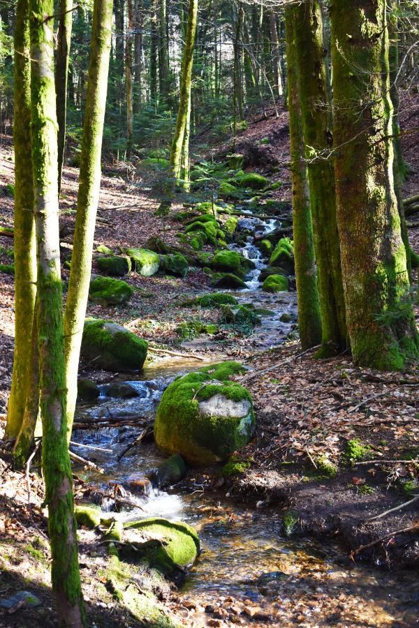 "La Vieille Grange", Au Coeur De La Nature Laveline-du-Houx المظهر الخارجي الصورة